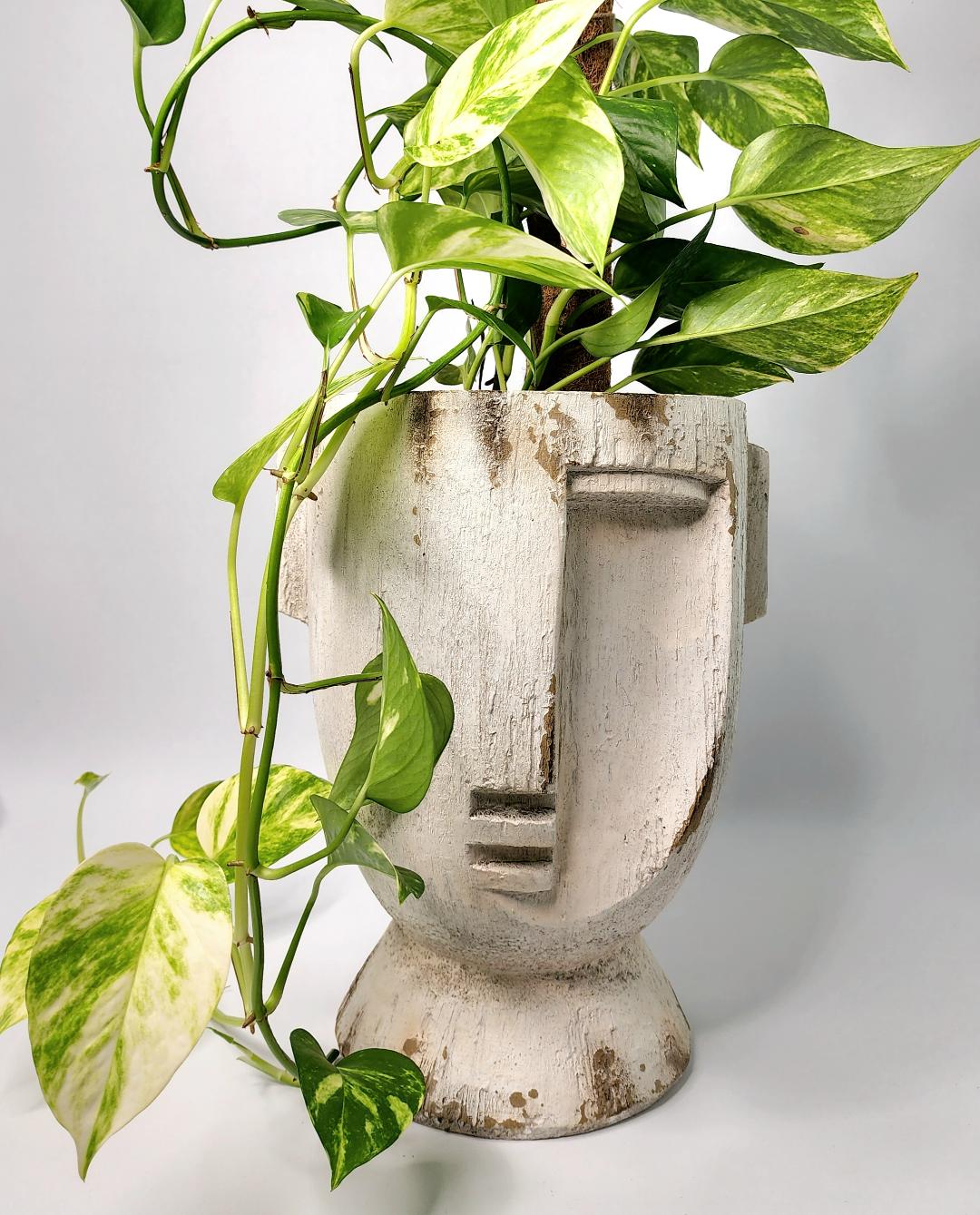 Face Planter | Distressed White | Large - Coastal Country Home Decor