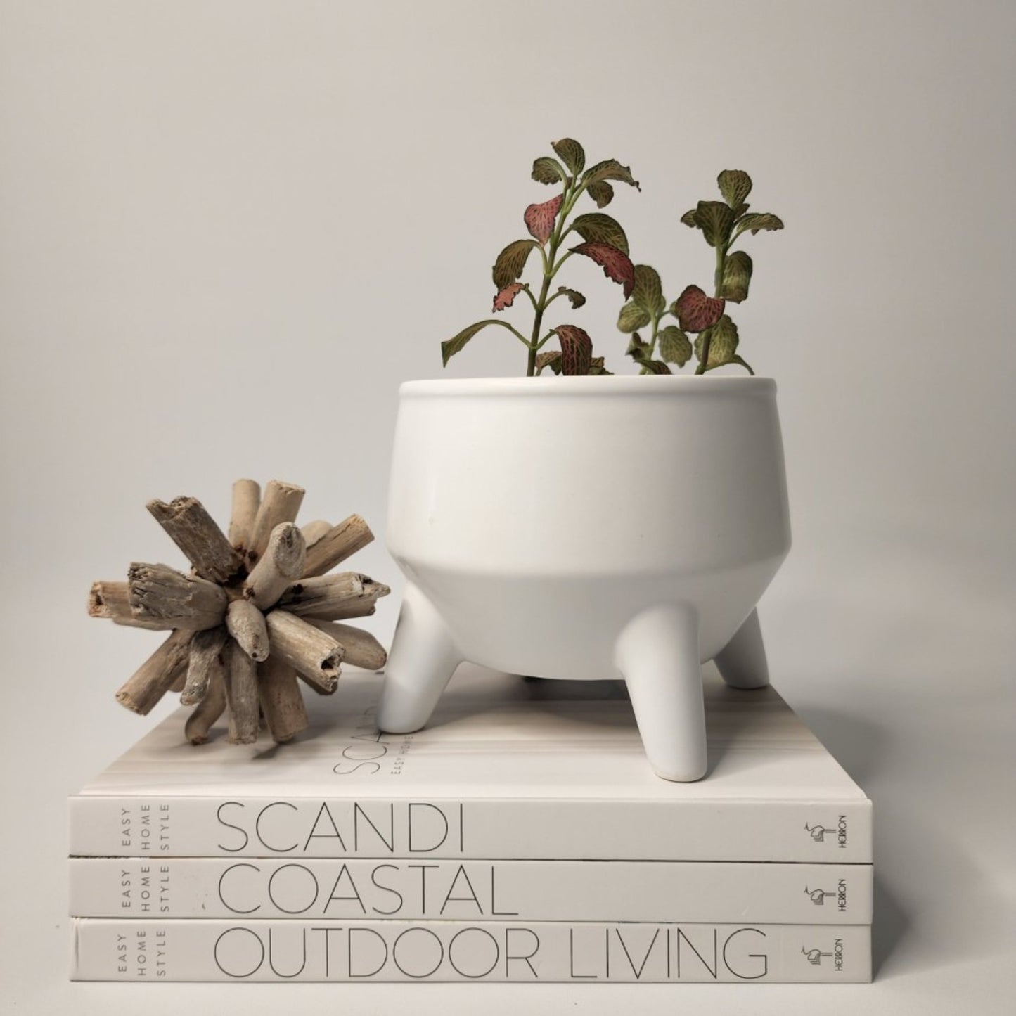 Kelly Planter | White - Coastal Country Home Decor